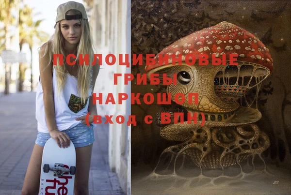a pvp Алексин